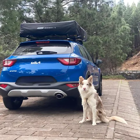 キャンプ場 Rooftop Tent - The Views Of The Island *